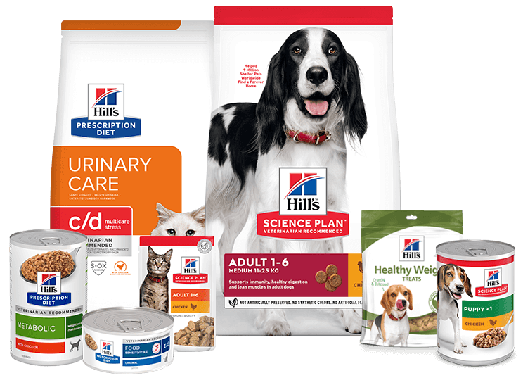 Insieme di alimenti Hill's tra cui crocchette, lattine e snack.