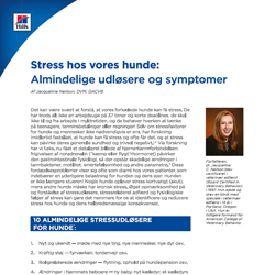 Almindelige udløsere og symptomer på stress hos hunde