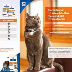 Informationsbrochure