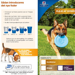 Klientbrochure – Hund