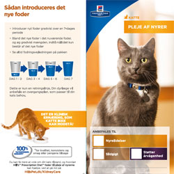  Klientbrochure – Kat