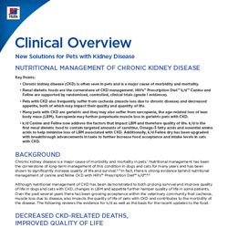 Klinisk Evidensrapport