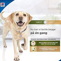 Informationsbrochure – Metabolic + Mobility