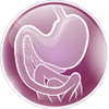 gastroicon-2